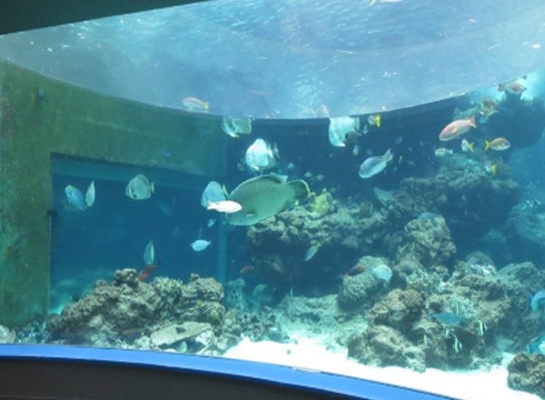 水族館亞克力工程