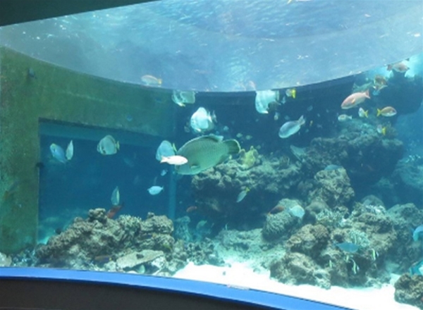 水族館亞克力工程